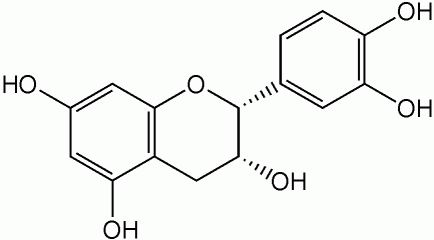 Epikatechin.jpg