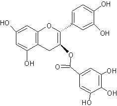 Katechin-3-gallát.jpg